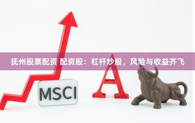 抚州股票配资 配资股：杠杆炒股，风险与收益齐飞