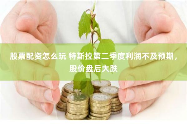 股票配资怎么玩 特斯拉第二季度利润不及预期，股价盘后大跌
