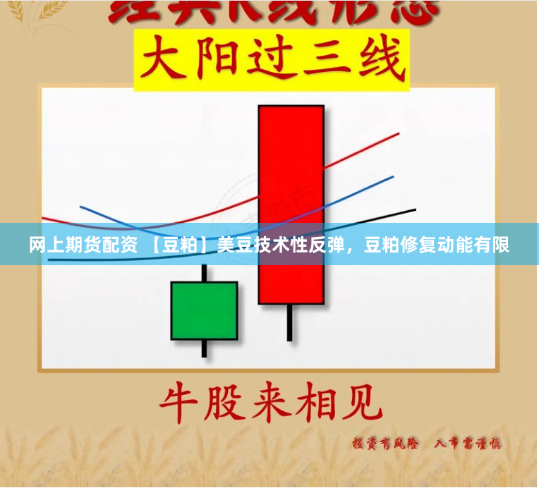 网上期货配资 【豆粕】美豆技术性反弹，豆粕修复动能有限