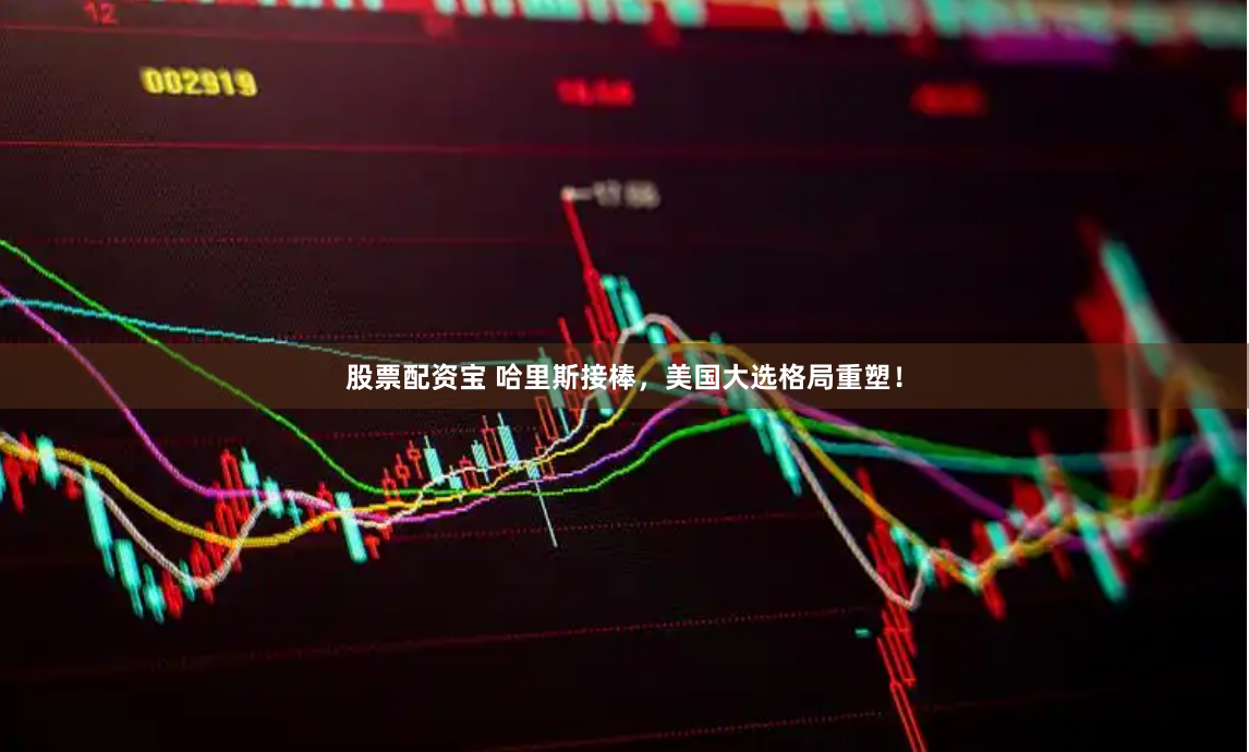 股票配资宝 哈里斯接棒，美国大选格局重塑！