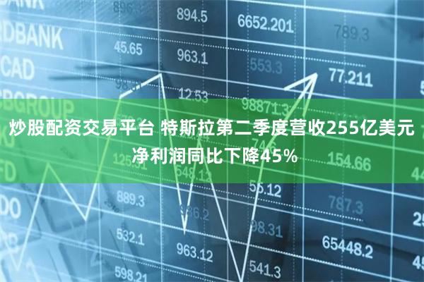 炒股配资交易平台 特斯拉第二季度营收255亿美元 净利润同比下降45%