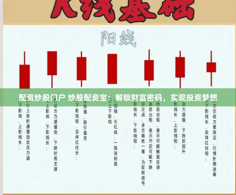 配资炒股门户 炒股配资宝：解锁财富密码，实现投资梦想