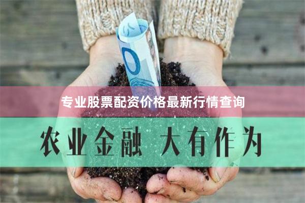 专业股票配资价格最新行情查询